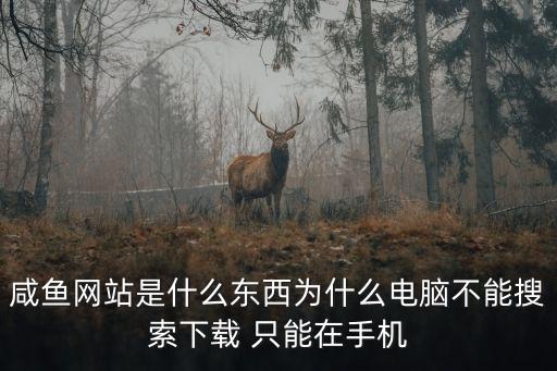 咸魚平臺，咸魚二手交易賣二手東西怎么樣