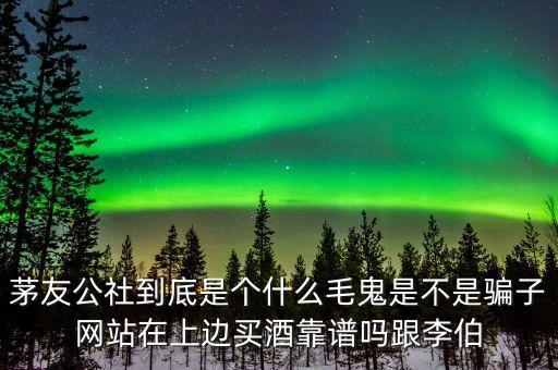 茅友公社到底是個(gè)什么毛鬼是不是騙子網(wǎng)站在上邊買酒靠譜嗎跟李伯