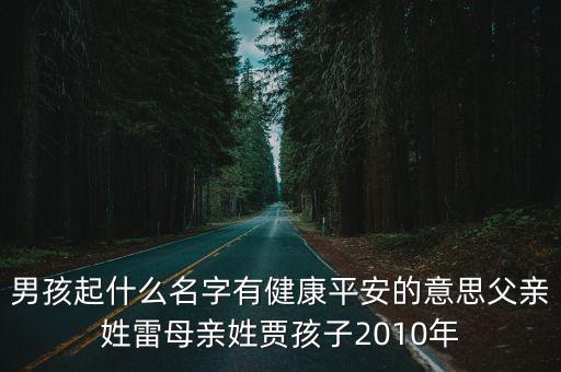 男孩起什么名字有健康平安的意思父親姓雷母親姓賈孩子2010年