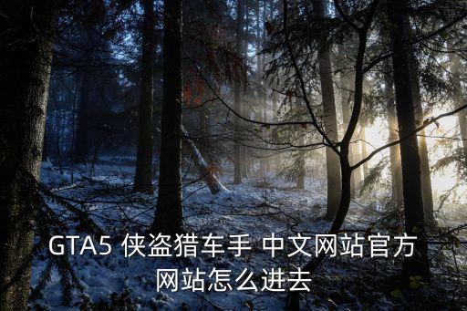 GTA5 俠盜獵車手 中文網(wǎng)站官方網(wǎng)站怎么進去