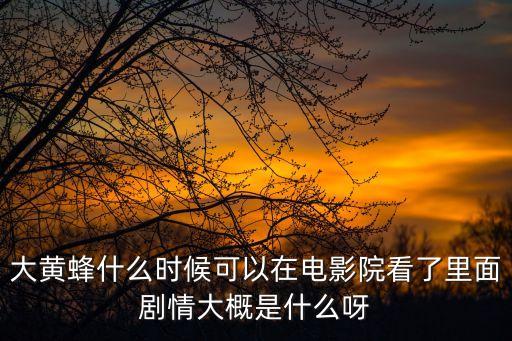 大黃蜂什么時候可以在電影院看了里面劇情大概是什么呀