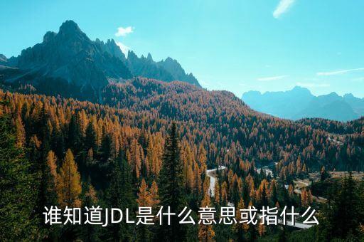 jdl，jdl是什么意思