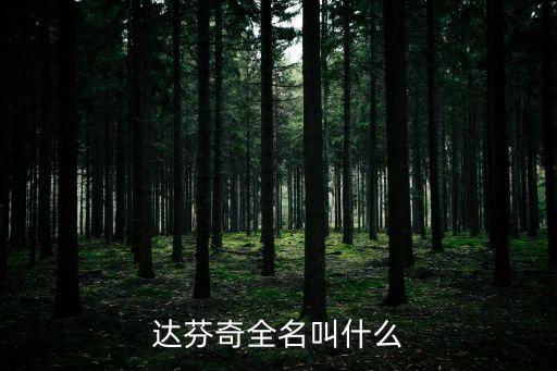 達(dá)芬奇簡介，達(dá)芬奇的具體介紹