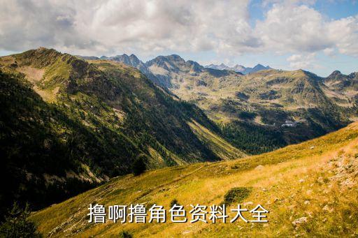 擼啊擼角色資料大全