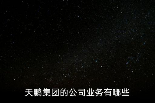 天鵬集團的公司業(yè)務(wù)有哪些