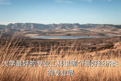 大學(xué)最好的專(zhuān)業(yè)工科里哪個(gè)最好經(jīng)濟(jì)類(lèi)的專(zhuān)業(yè)呢