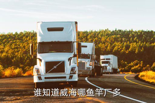陳光威，魯K09999是誰的車了