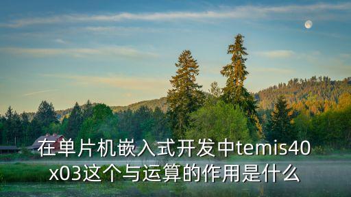 在單片機(jī)嵌入式開(kāi)發(fā)中temis40x03這個(gè)與運(yùn)算的作用是什么