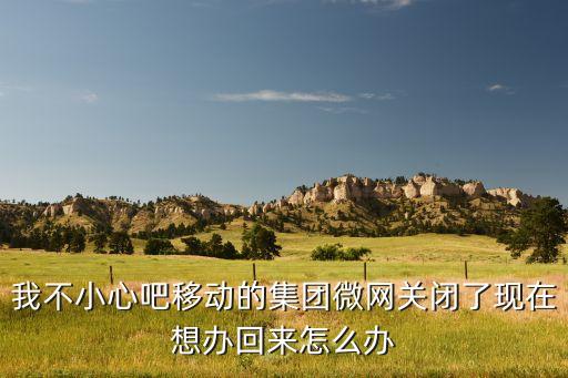 我不小心吧移動(dòng)的集團(tuán)微網(wǎng)關(guān)閉了現(xiàn)在想辦回來(lái)怎么辦