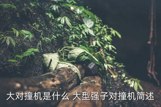 大型強(qiáng)子對(duì)撞機(jī)，大型強(qiáng)子對(duì)撞機(jī)是什么東西啊 干什么用的