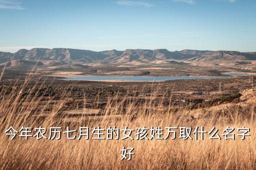 今年農(nóng)歷七月生的女孩姓萬取什么名字好