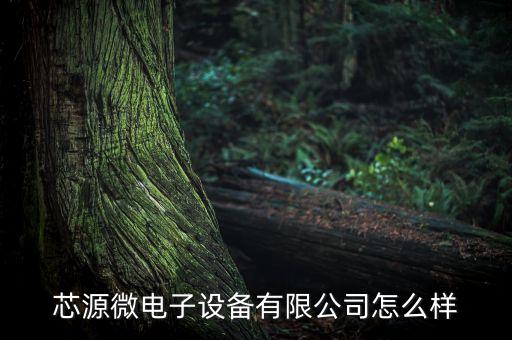芯源微電子設備有限公司怎么樣