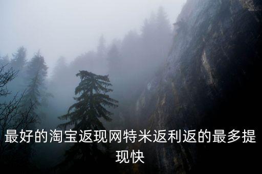 temi，最好的淘寶返現(xiàn)網(wǎng)特米返利返的最多提現(xiàn)快