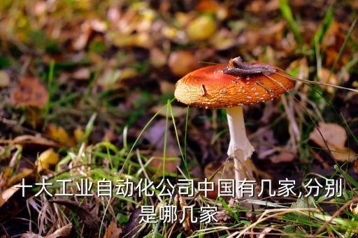 十大工業(yè)自動化公司中國有幾家,分別是哪幾家