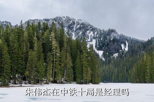 朱偉杰，朱偉杰在中鐵十局是經(jīng)理嗎