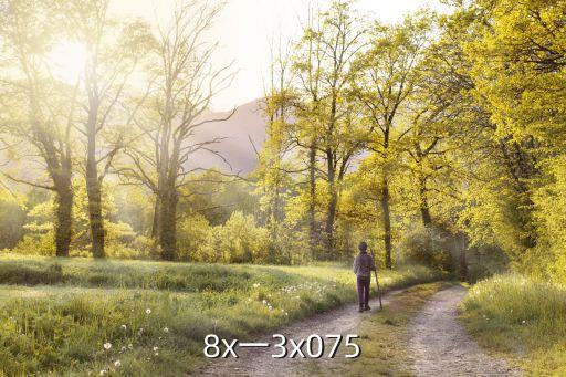 8x在線，8x一3x075