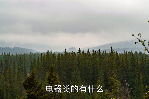電器類的有什么