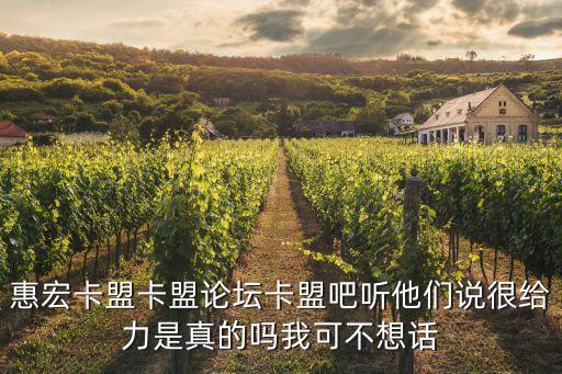 惠宏卡盟卡盟論壇卡盟吧聽他們說很給力是真的嗎我可不想話
