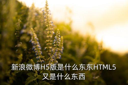 新浪微博H5版是什么東東HTML5又是什么東西