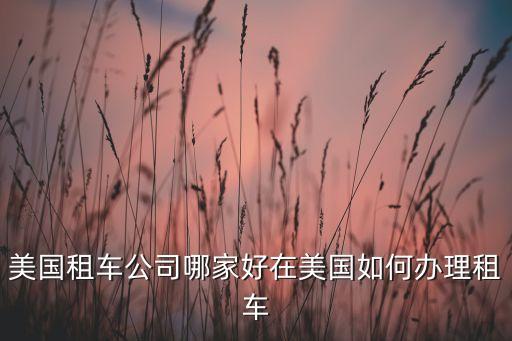 國(guó)際租車(chē)公司哪家好，租車(chē)品牌哪個(gè)好