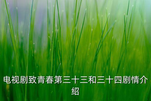電視劇致青春第三十三和三十四劇情介紹