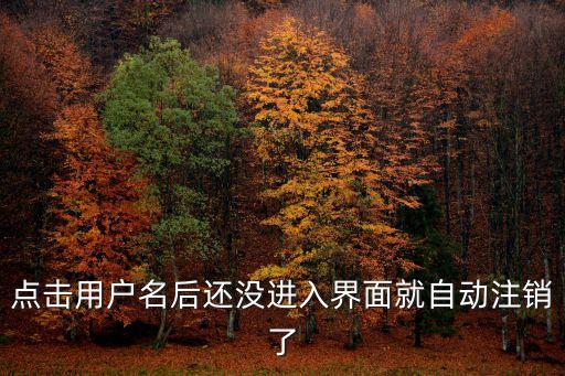 點擊用戶名后還沒進入界面就自動注銷了