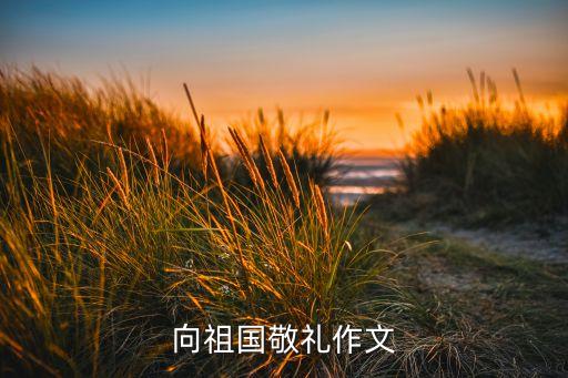 向建國(guó)，向祖國(guó)敬禮作文