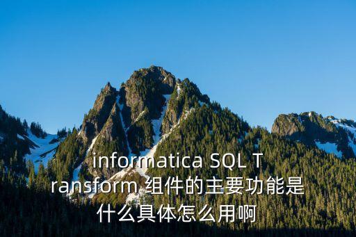 informatica，informatica SQL Transform 組件的主要功能是什么具體怎么用啊