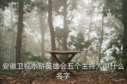 安徽衛(wèi)視水滸英雄會(huì)五個(gè)主持人叫什么名字