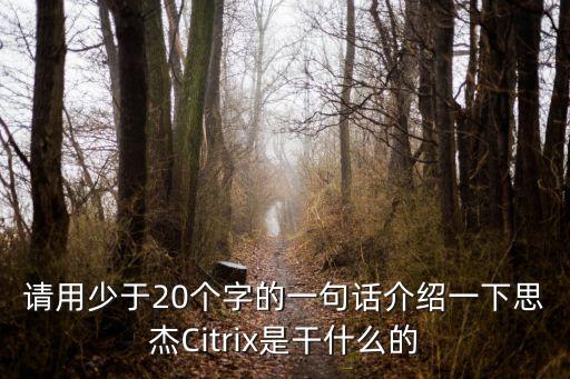 請用少于20個字的一句話介紹一下思杰Citrix是干什么的