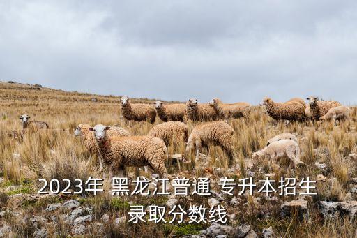 2023年 黑龍江普通 專升本招生錄取分?jǐn)?shù)線