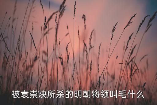 振南，單片機(jī)為什么振南的視頻教程不如郭天祥的受歡迎