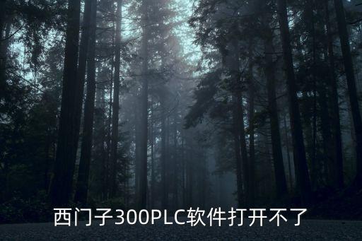 西門(mén)子300PLC軟件打開(kāi)不了