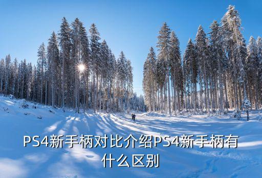 ps4手柄 新版 usb數(shù)據(jù),第2個(gè)ps4怎么用?