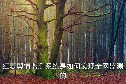 紅麥輿情監(jiān)測系統(tǒng)是如何實現(xiàn)全網(wǎng)監(jiān)測的