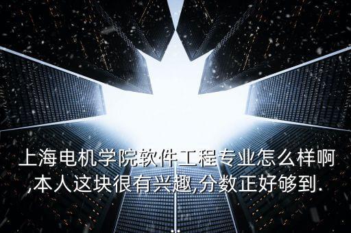  上海電機(jī)學(xué)院軟件工程專業(yè)怎么樣啊,本人這塊很有興趣,分?jǐn)?shù)正好夠到...