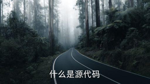 什么是源代碼
