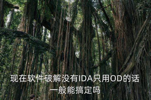 現(xiàn)在軟件破解沒有IDA只用OD的話一般能搞定嗎