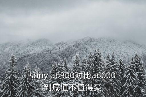 sony a6300對比a6000到底值不值得買