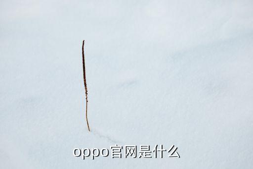 oppo官網(wǎng)是什么