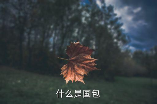 國(guó)包，什么是國(guó)包