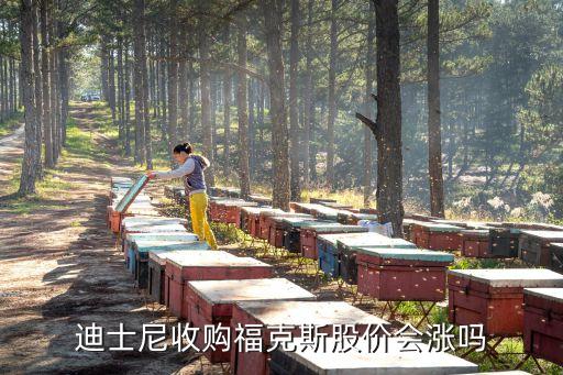 迪士尼收購?？怂构蓛r會漲嗎