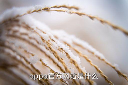 oppo官方網(wǎng)站是什么