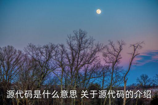 源代碼，什么是源代碼