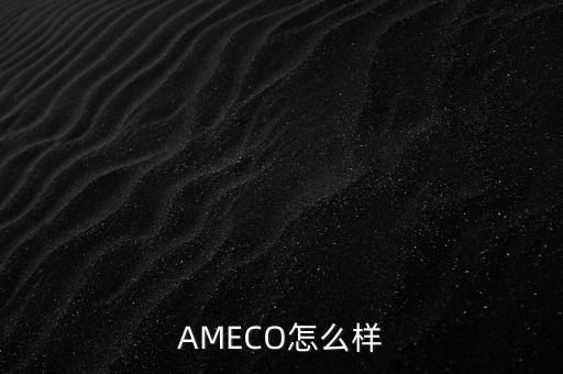 AMECO怎么樣