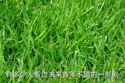 有多少人看過未來青年不錯的一部劇