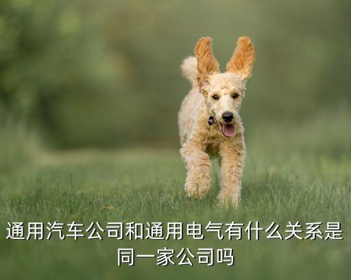 通用汽車公司和通用電氣有什么關(guān)系是同一家公司嗎