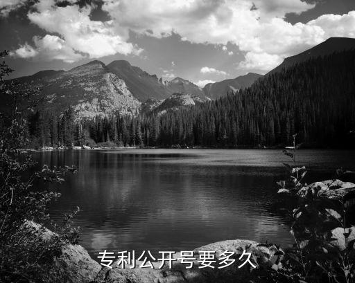 專利公開號要多久