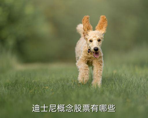 迪士尼概念股票有哪些