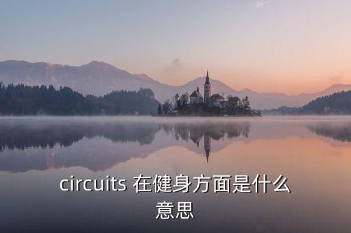 circuits，electrical circuits是什么意思